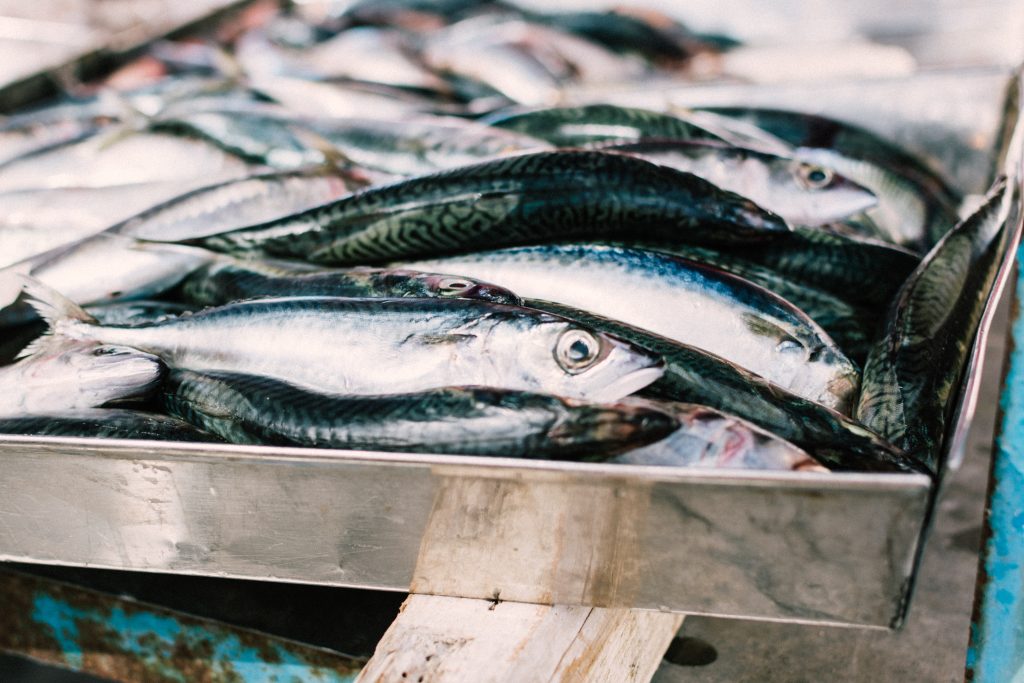 variedades de boquerones